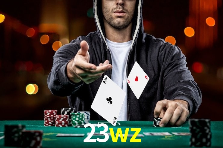 23wz App Interface